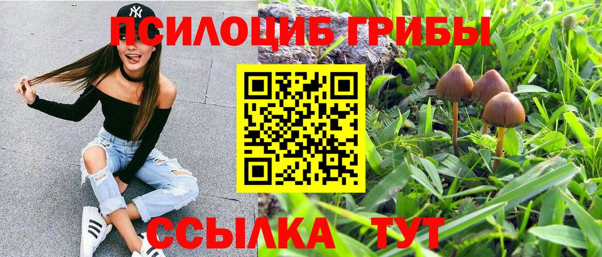 Галлюциногенные грибы Psilocybe Красноуфимск