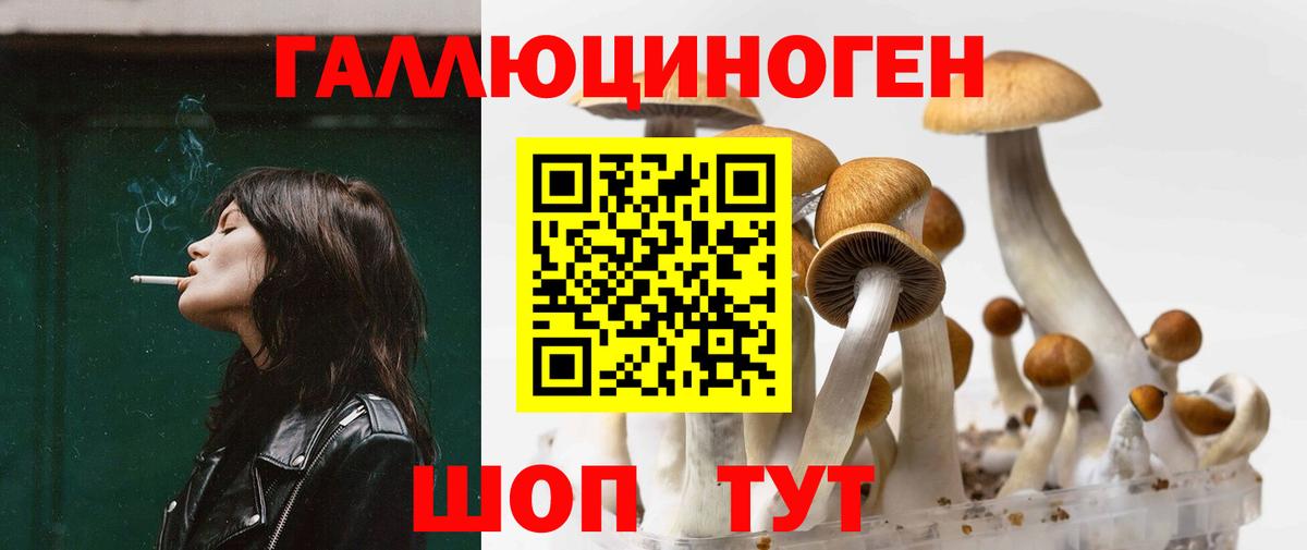 Псилоцибиновые грибы GOLDEN TEACHER  Галлюциногенные грибы мухоморы  Красноуфимск  Вход с VPN 